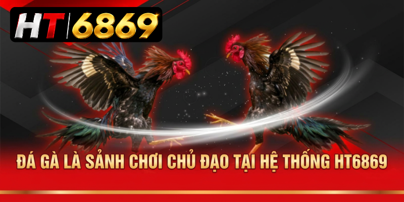 Đá gà là sảnh chơi chủ đạo tại hệ thống HT6869